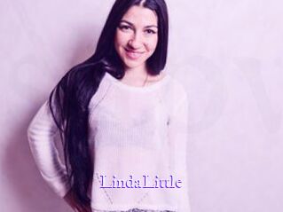 LindaLittle Super Webcam