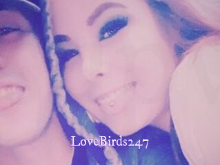 LoveBirds247