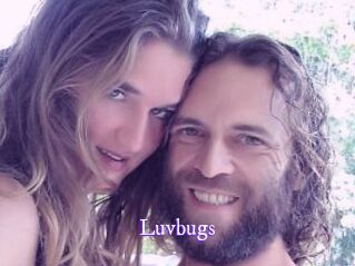 Luvbugs