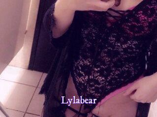 Lylabear Super Webcam