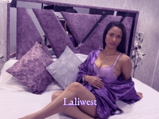 laliwest Super Webcam