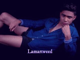 lamartweed Super Webcam