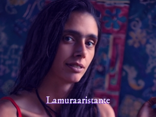 lamuraaristante Super Webcam