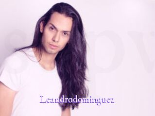 leandrodominguez Super Webcam