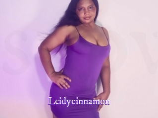leidycinnamon Super Webcam