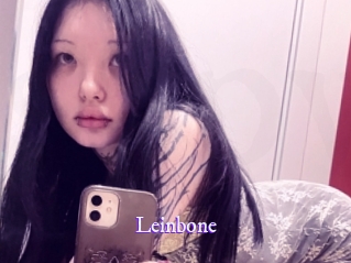 leinbone Super Webcam