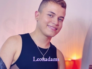 leonadams Super Webcam