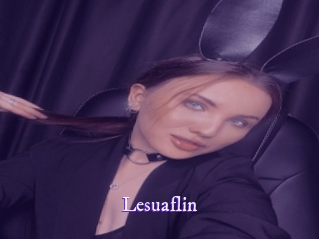 lesuaflin Super Webcam