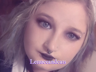 Lettuceandcats