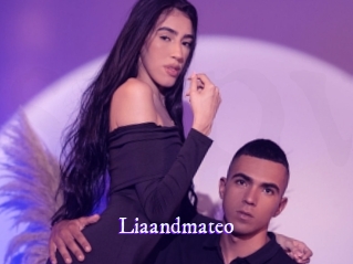 liaandmateo Super Webcam