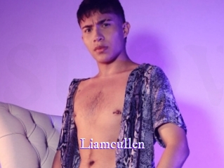 Liamcullen