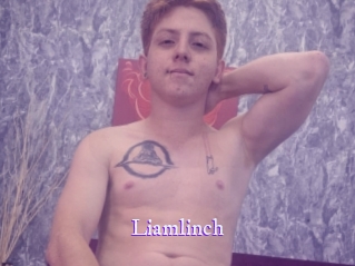 liamlinch Super Webcam