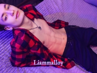 liammalloy Super Webcam