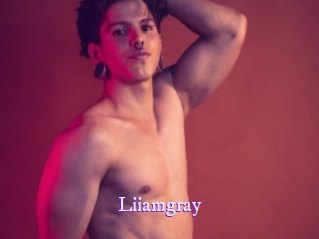liiamgray Super Webcam