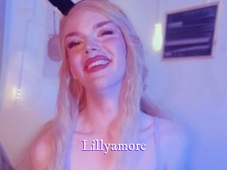lillyamore Super Webcam