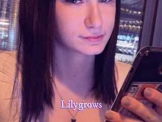 lilygrows Super Webcam