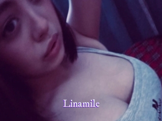 linamile Super Webcam