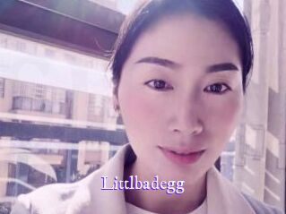 Littlbadegg
