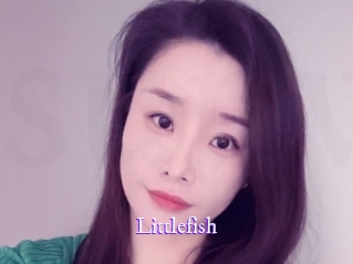 littlefish Super Webcam