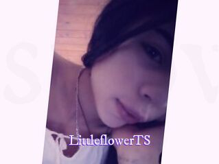 LittleflowerTS