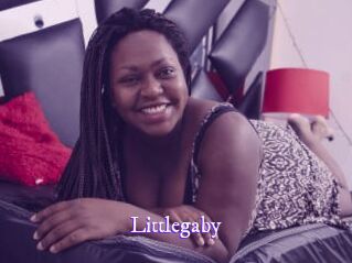 littlegaby Super Webcam