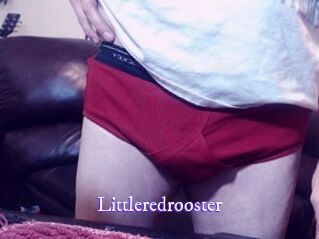 Littleredrooster
