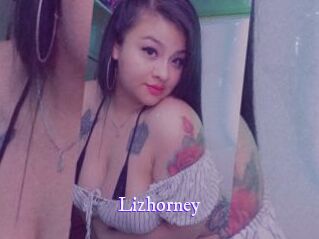 Lizhorney