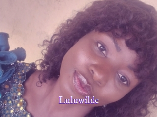 luluwilde Super Webcam