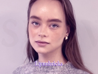 Lynnbricks