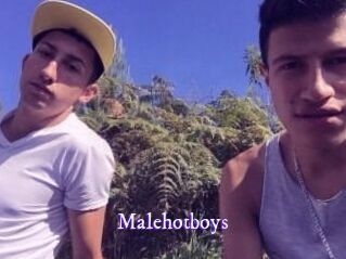 Malehotboys