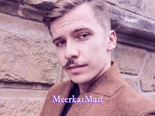 MeerkatMatt