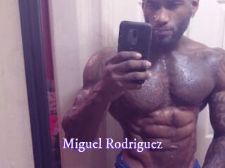 Miguel_Rodriguez