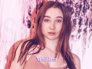 MisPlam