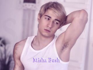 Misha_Bush
