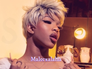 malecxalahia Super Webcam