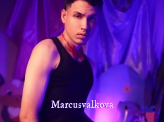 marcusvalkova Super Webcam