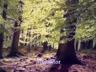 Martiaitor