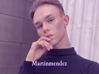 martinmendez Super Webcam