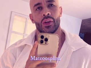 Mateoospiina