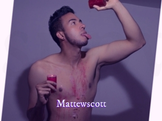 mattewscott Super Webcam