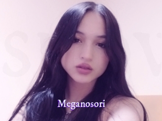 Meganosori