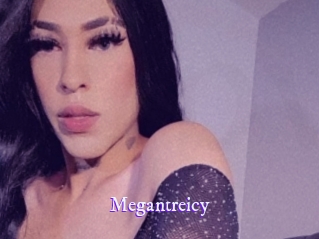 megantreicy Super Webcam