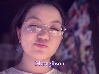 merygibson Super Webcam
