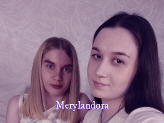 merylandora Super Webcam