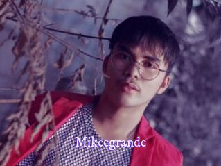 Mikeegrande