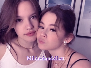 mildredandellett Super Webcam