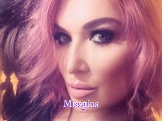 missgina Super Webcam