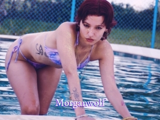 morganwolf Super Webcam