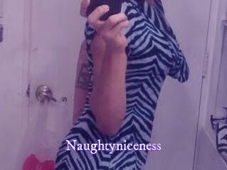Naughtyniceness