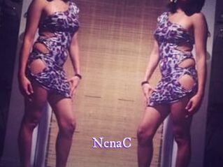 NenaC Super Webcam